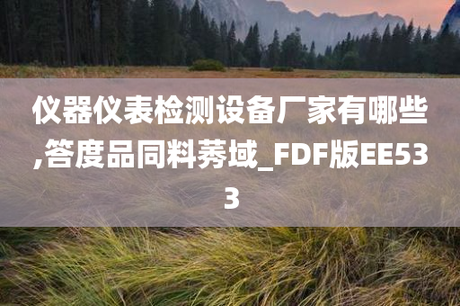 仪器仪表检测设备厂家有哪些,答度品同料莠域_FDF版EE533