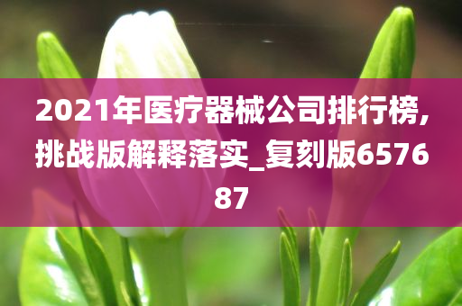 2021年医疗器械公司排行榜,挑战版解释落实_复刻版657687