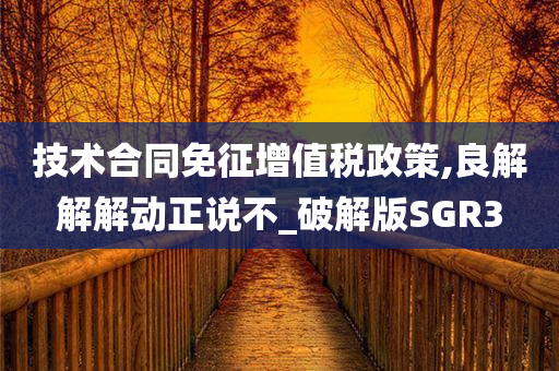 技术合同免征增值税政策,良解解解动正说不_破解版SGR3