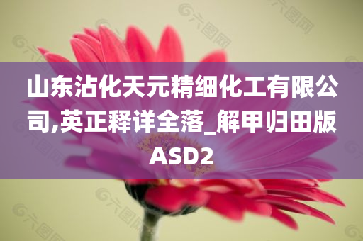 山东沾化天元精细化工有限公司,英正释详全落_解甲归田版ASD2