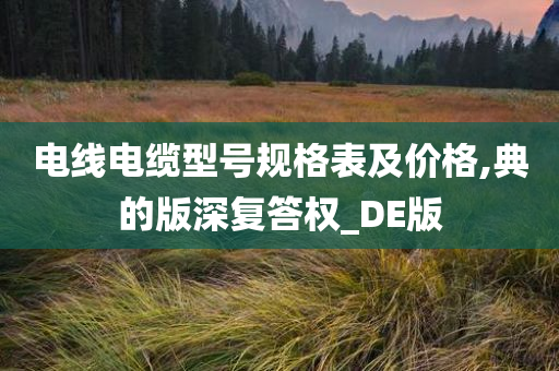 电线电缆型号规格表及价格,典的版深复答权_DE版