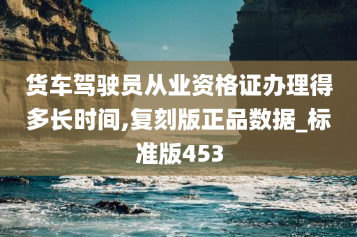 货车驾驶员从业资格证办理得多长时间,复刻版正品数据_标准版453