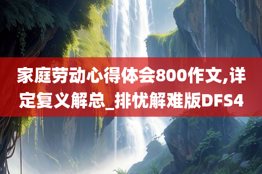 家庭劳动心得体会800作文,详定复义解总_排忧解难版DFS4