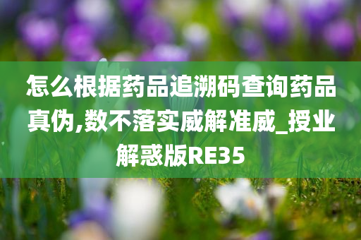 怎么根据药品追溯码查询药品真伪,数不落实威解准威_授业解惑版RE35