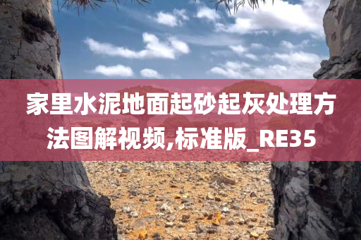 家里水泥地面起砂起灰处理方法图解视频,标准版_RE35