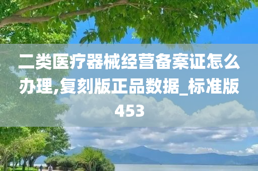 二类医疗器械经营备案证怎么办理,复刻版正品数据_标准版453