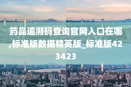 药品追溯码查询官网入口在哪,标准版数据精英版_标准版423423