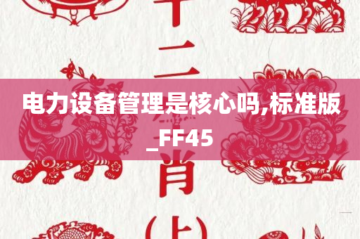 电力设备管理是核心吗,标准版_FF45