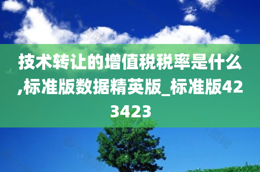 技术转让的增值税税率是什么,标准版数据精英版_标准版423423