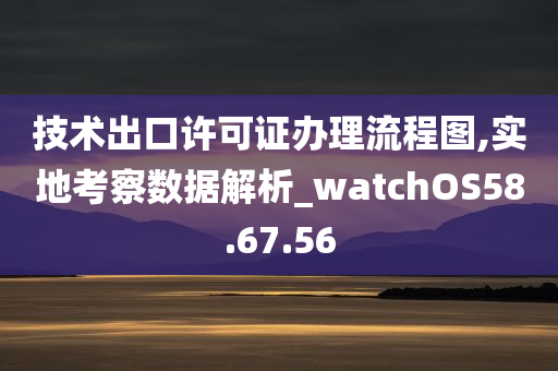 技术出口许可证办理流程图,实地考察数据解析_watchOS58.67.56