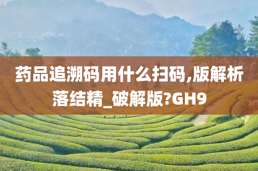 药品追溯码用什么扫码,版解析落结精_破解版?GH9