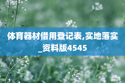 体育器材借用登记表,实地落实_资料版4545