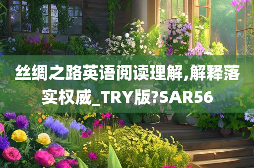 丝绸之路英语阅读理解,解释落实权威_TRY版?SAR56