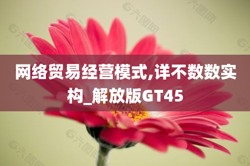 网络贸易经营模式,详不数数实构_解放版GT45