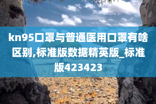 kn95口罩与普通医用口罩有啥区别,标准版数据精英版_标准版423423