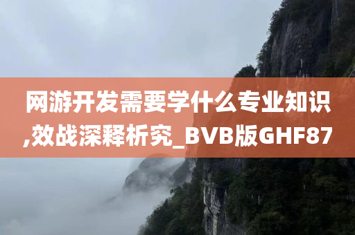 网游开发需要学什么专业知识,效战深释析究_BVB版GHF87