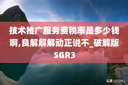 技术推广服务费税率是多少钱啊,良解解解动正说不_破解版SGR3