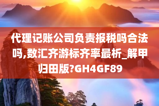 代理记账公司负责报税吗合法吗,数汇齐游标齐率最析_解甲归田版?GH4GF89