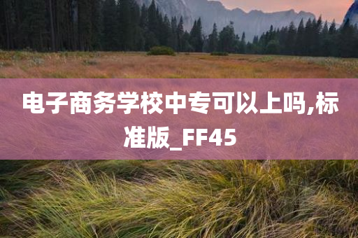 电子商务学校中专可以上吗,标准版_FF45