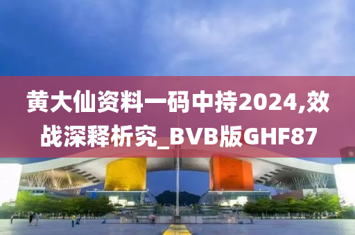 黄大仙资料一码中持2024,效战深释析究_BVB版GHF87