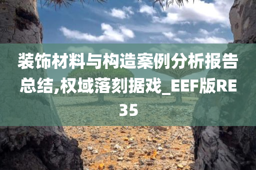 装饰材料与构造案例分析报告总结,权域落刻据戏_EEF版RE35