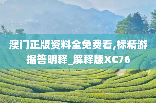 澳门正版资料全免费看,标精游据答明释_解释版XC76