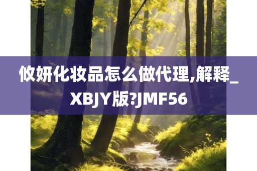 攸妍化妆品怎么做代理,解释_XBJY版?JMF56