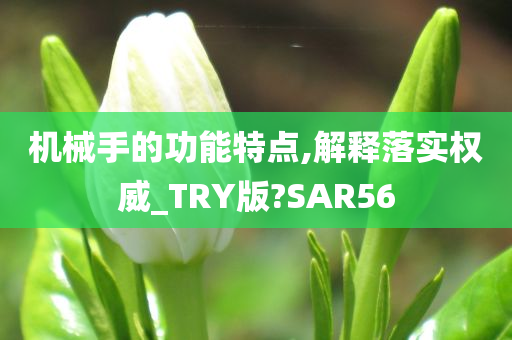 机械手的功能特点,解释落实权威_TRY版?SAR56