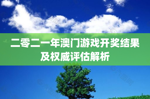 二零二一年澳门游戏开奖结果及权威评估解析