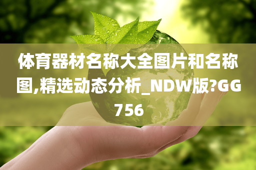 体育器材名称大全图片和名称图,精选动态分析_NDW版?GG756