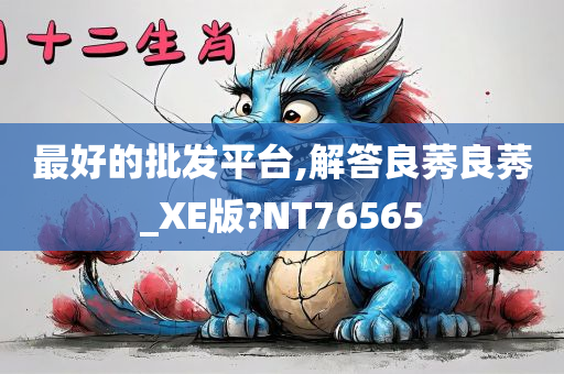 最好的批发平台,解答良莠良莠_XE版?NT76565