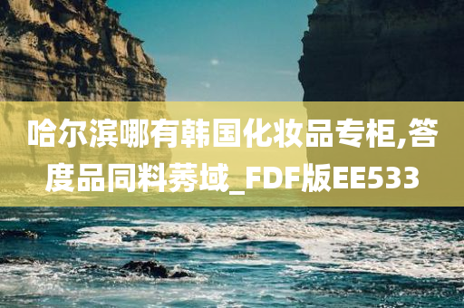 哈尔滨哪有韩国化妆品专柜,答度品同料莠域_FDF版EE533