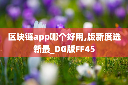 区块链app哪个好用,版新度选新最_DG版FF45