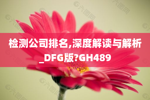 检测公司排名,深度解读与解析_DFG版?GH489