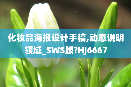 化妆品海报设计手稿,动态说明领域_SWS版?HJ6667