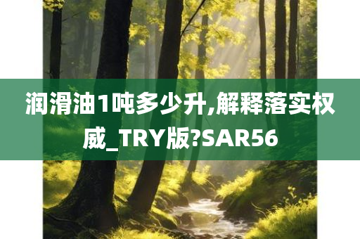 润滑油1吨多少升,解释落实权威_TRY版?SAR56