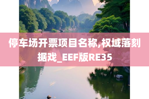 停车场开票项目名称,权域落刻据戏_EEF版RE35