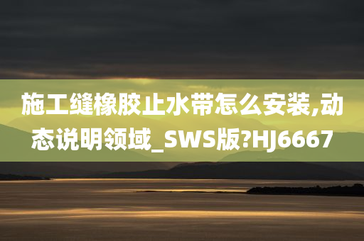 施工缝橡胶止水带怎么安装,动态说明领域_SWS版?HJ6667