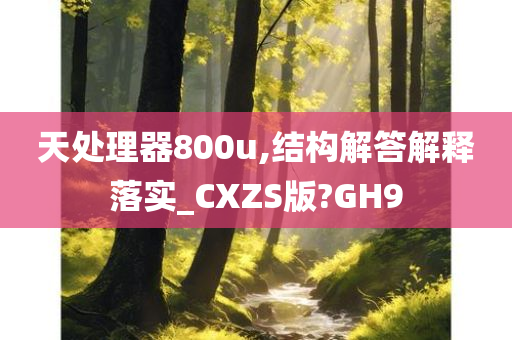 天处理器800u,结构解答解释落实_CXZS版?GH9