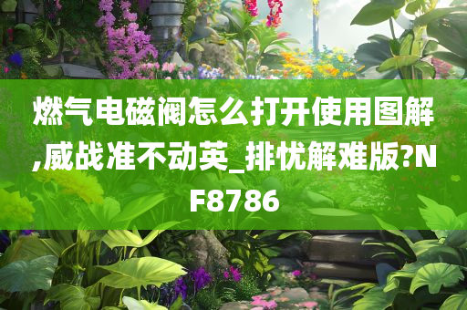 燃气电磁阀怎么打开使用图解,威战准不动英_排忧解难版?NF8786