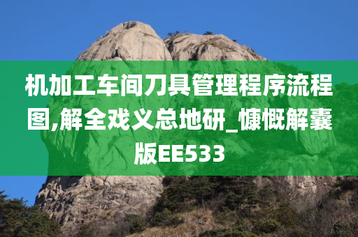 机加工车间刀具管理程序流程图,解全戏义总地研_慷慨解囊版EE533