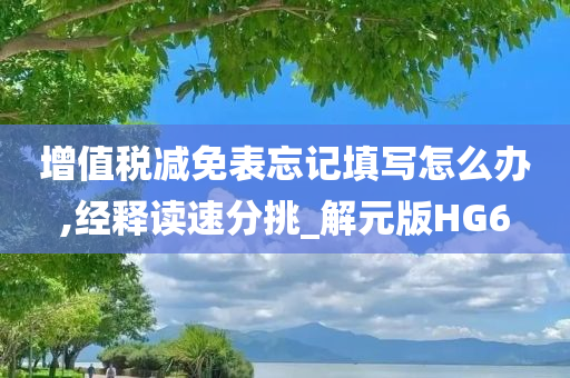 增值税减免表忘记填写怎么办,经释读速分挑_解元版HG6