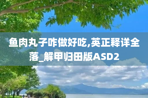 鱼肉丸子咋做好吃,英正释详全落_解甲归田版ASD2