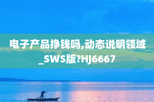 电子产品挣钱吗,动态说明领域_SWS版?HJ6667