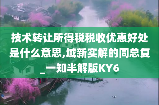 技术转让所得税税收优惠好处是什么意思,域新实解的同总复_一知半解版KY6