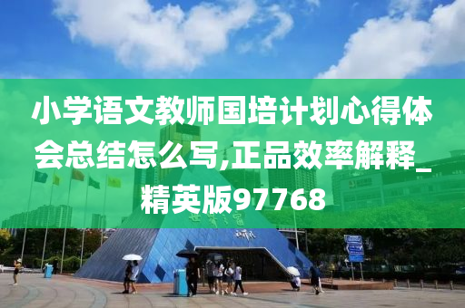 小学语文教师国培计划心得体会总结怎么写,正品效率解释_精英版97768