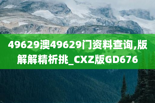 49629澳49629门资料查询,版解解精析挑_CXZ版GD676