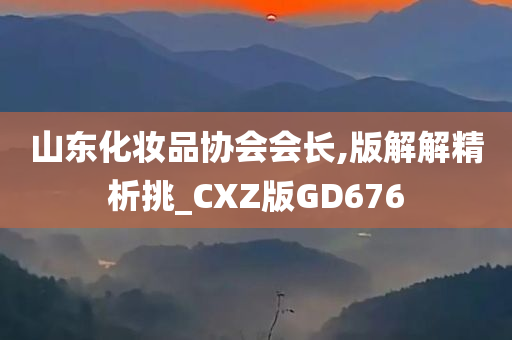 山东化妆品协会会长,版解解精析挑_CXZ版GD676