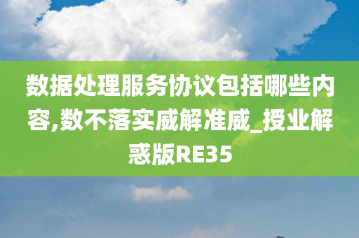 数据处理服务协议包括哪些内容,数不落实威解准威_授业解惑版RE35