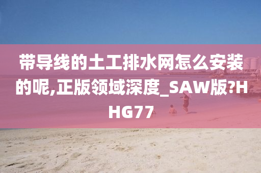 带导线的土工排水网怎么安装的呢,正版领域深度_SAW版?HHG77